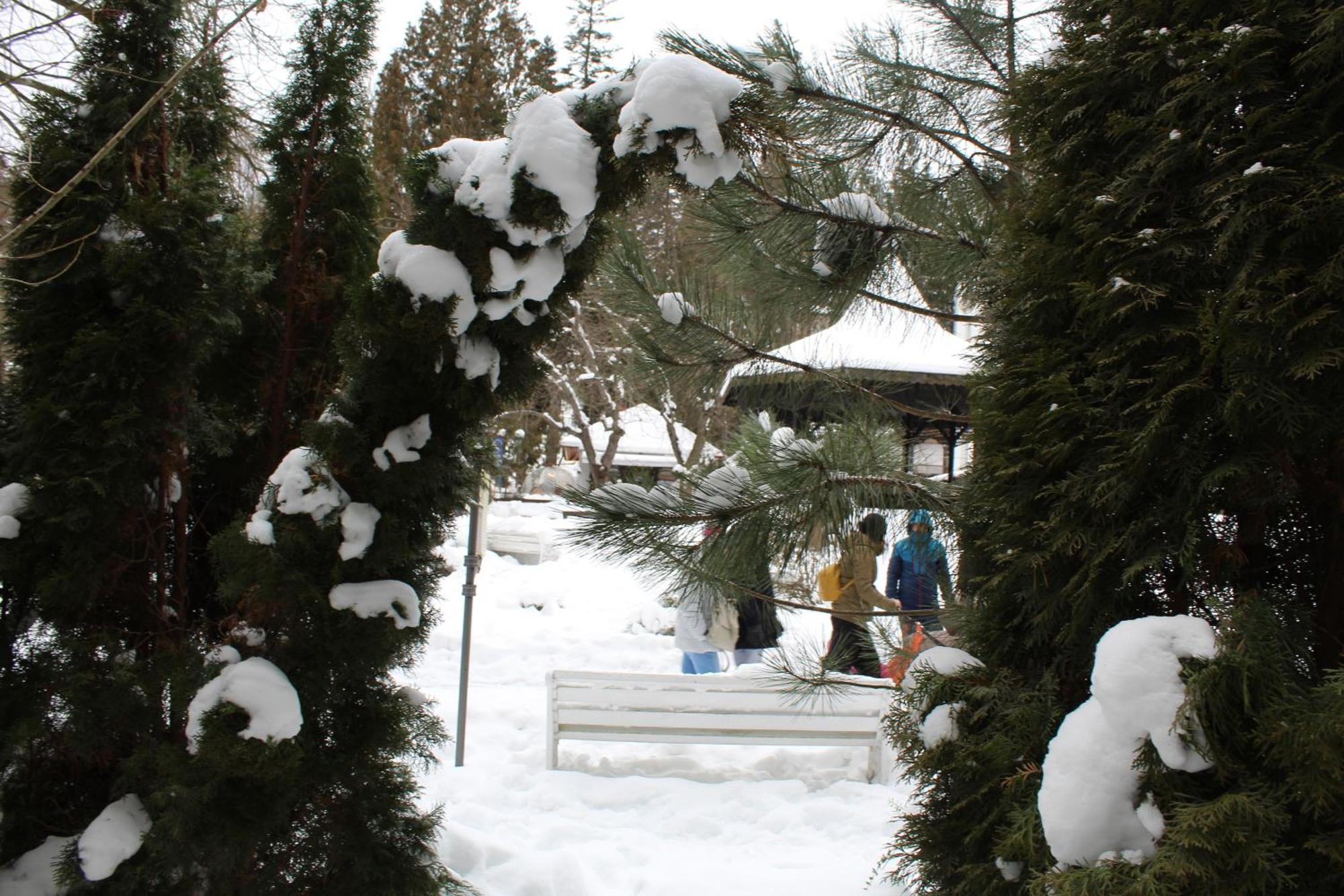 Central Park View سِنايا المظهر الخارجي الصورة