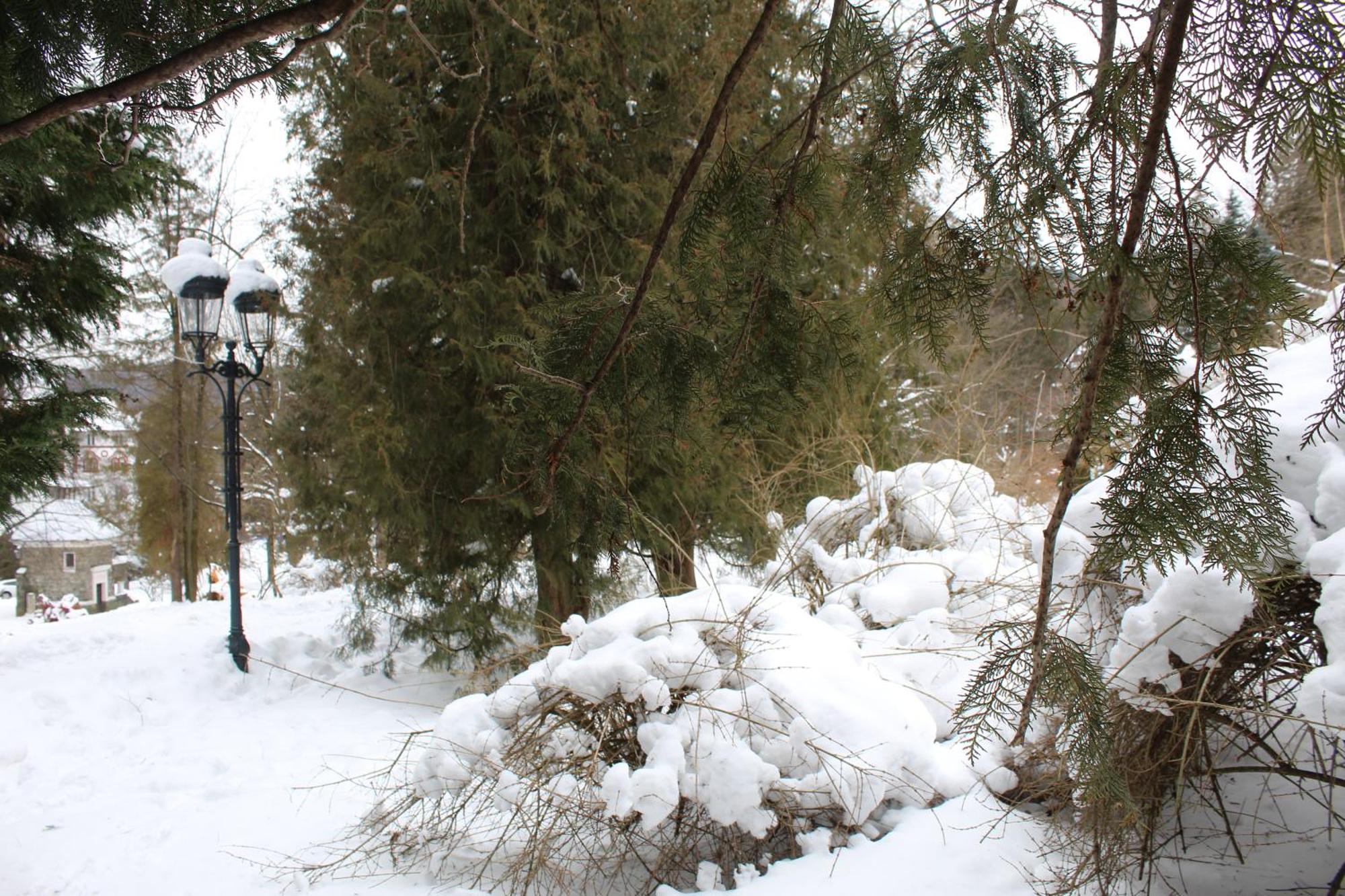 Central Park View سِنايا المظهر الخارجي الصورة